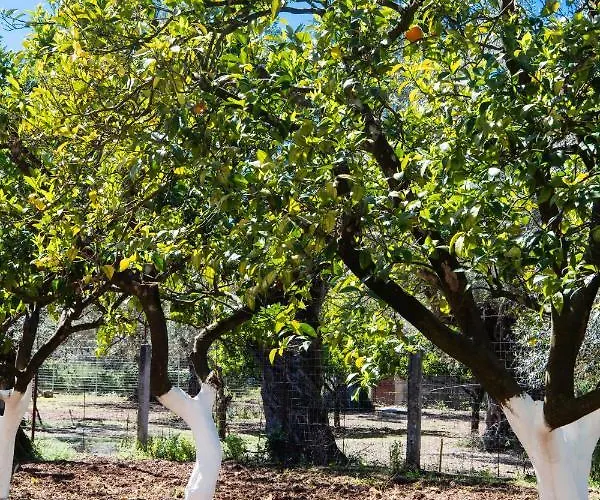 Rodia 2 Bedroom House Lefkáda